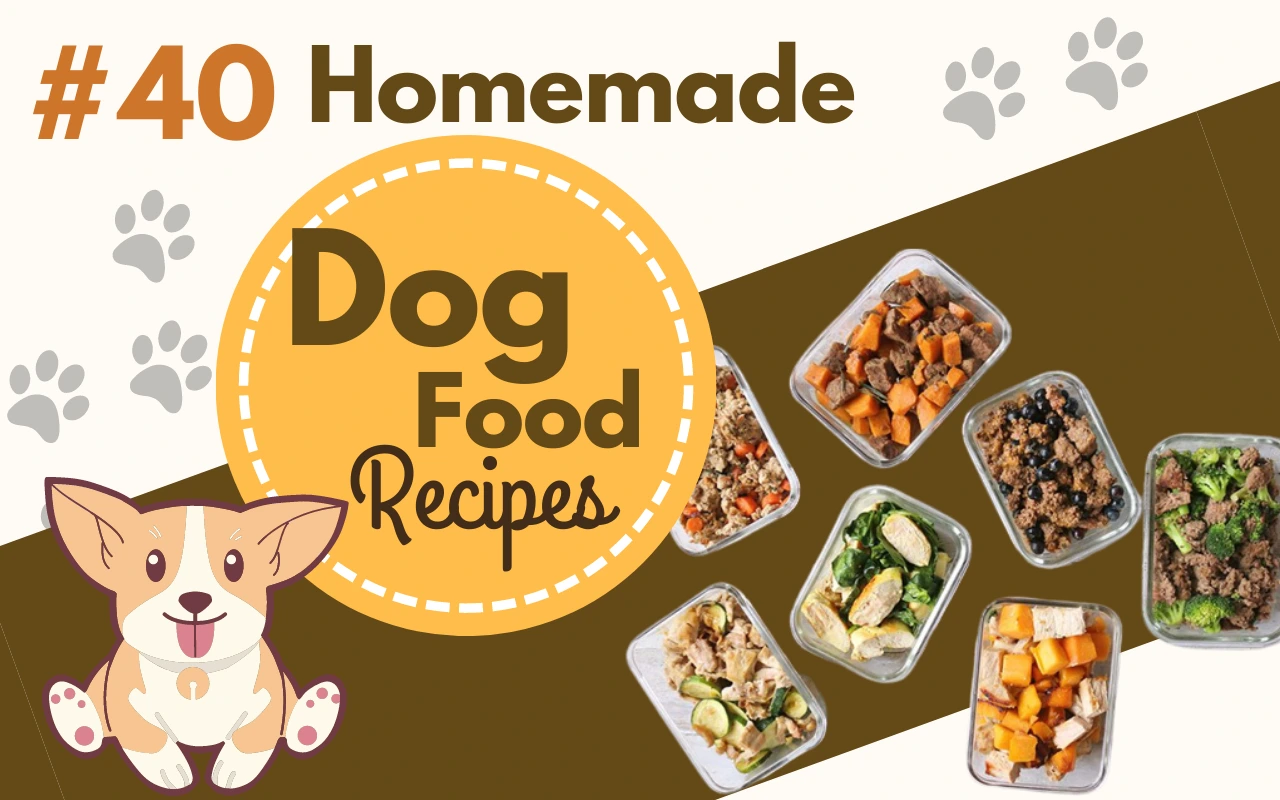 40 Homemade Dog Recipes for a Healthy Pup