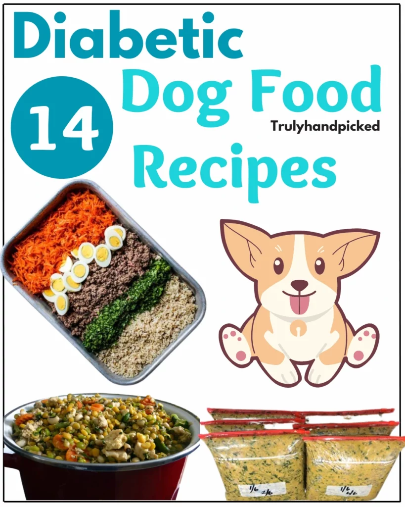 A Bowl of Goodness Homemade Diabetic Dog Food Ideas