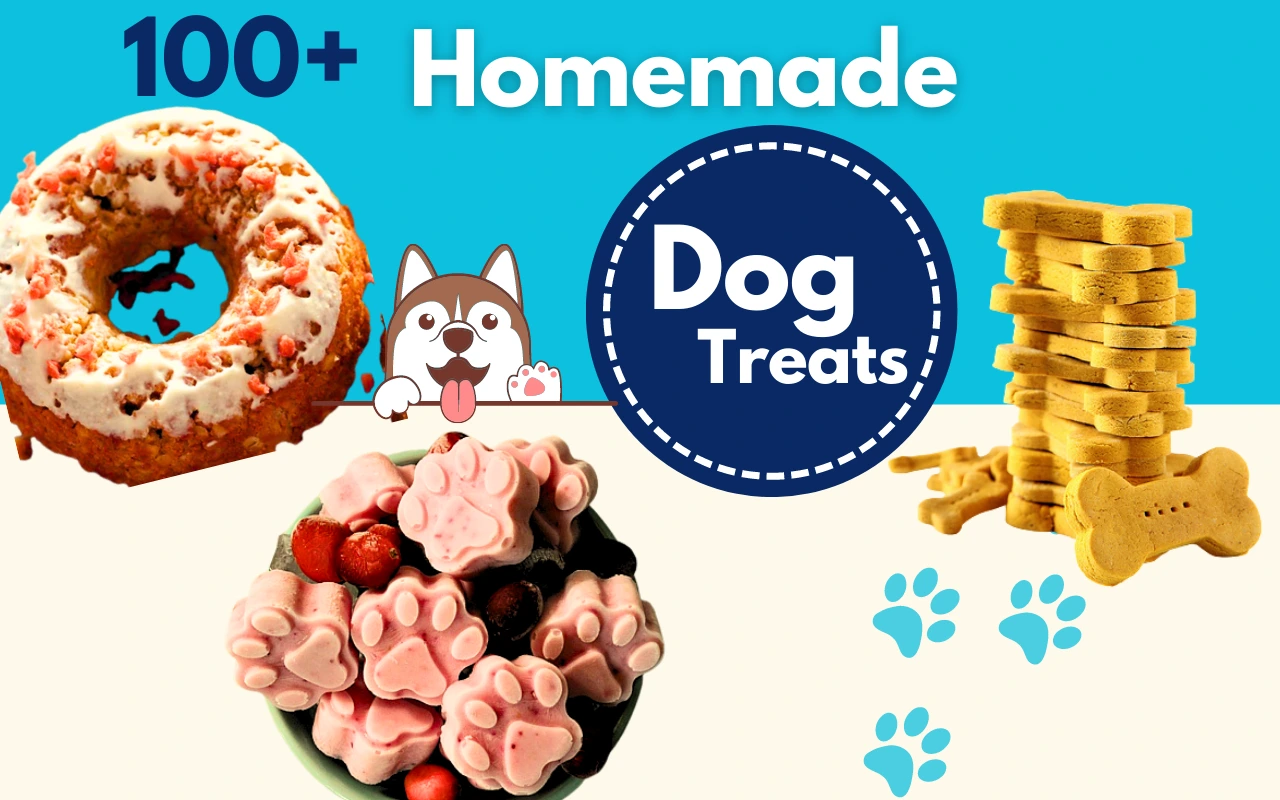 Easy and Delicious Homemade Dog Treats
